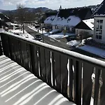 Winterberg Appartement 21124